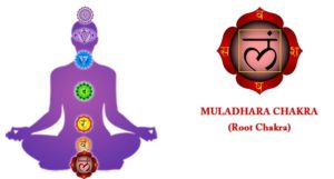 muladhara-chakra-1